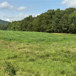 Photo #14 of Edwards Farm, King, NC 22.0 acres