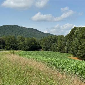 Photo #15 of Edwards Farm, King, NC 22.0 acres