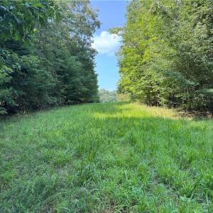 Photo #4 of Edwards Farm, King, NC 22.0 acres