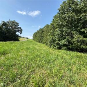 Photo #8 of Edwards Farm, King, NC 22.0 acres