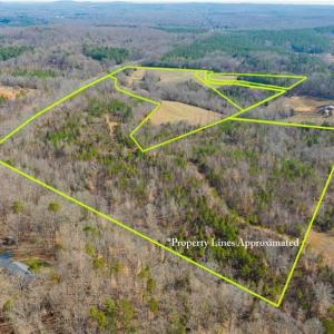 Photo #8 of NC Highway 49, Asheboro, NC 52.0 acres