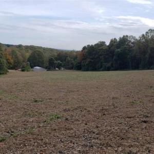 Photo #6 of Reid, King, NC 36.0 acres