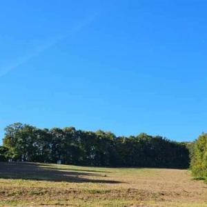 Photo #12 of Reid, King, NC 36.0 acres