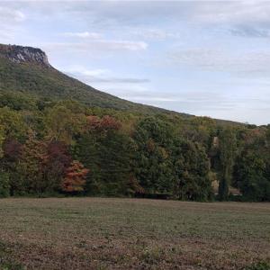 Photo #7 of Reid, King, NC 36.0 acres