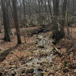 Northern portion