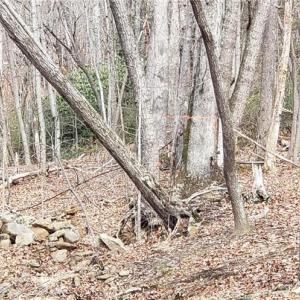 Northern portion of land