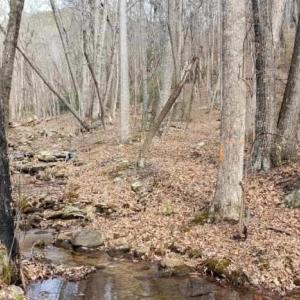 Northern portion of land