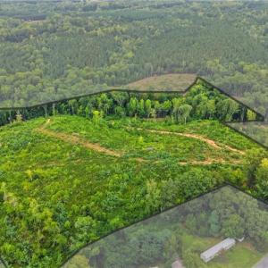 Photo #2 of Valley Level, Reidsville, NC 19.3 acres