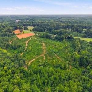 Photo #6 of Valley Level, Reidsville, NC 19.3 acres