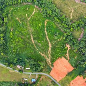 Cleared field not part of tract