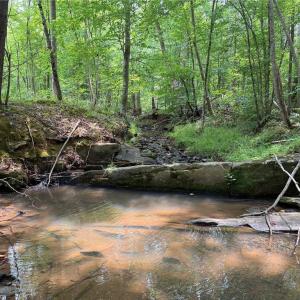 Photo #23 of Jennifer, Reidsville, NC 31.8 acres