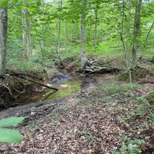 Photo #27 of Jennifer, Reidsville, NC 31.8 acres