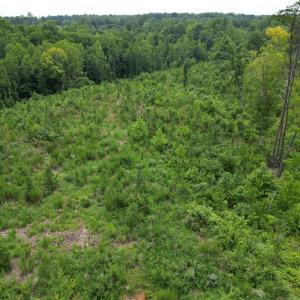 Photo #6 of Jennifer, Reidsville, NC 31.8 acres