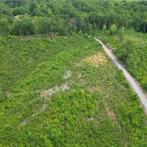 Photo #13 of Jennifer, Reidsville, NC 31.8 acres