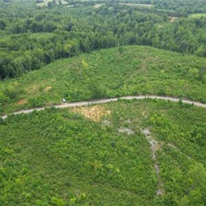 Photo #17 of Jennifer, Reidsville, NC 31.8 acres