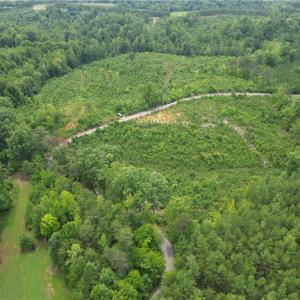 Photo #16 of Jennifer, Reidsville, NC 31.8 acres