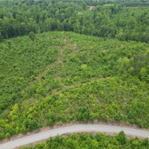 Photo #12 of Jennifer, Reidsville, NC 31.8 acres