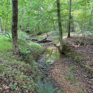 Photo #26 of Jennifer, Reidsville, NC 31.8 acres