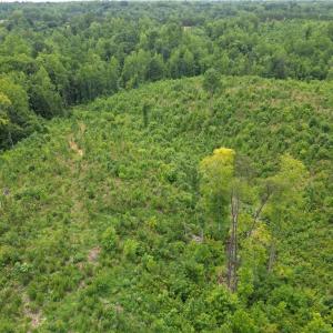 Photo #7 of Jennifer, Reidsville, NC 31.8 acres