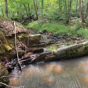 Photo #3 of Jennifer, Reidsville, NC 31.8 acres