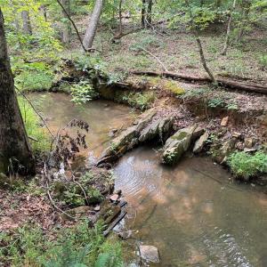 Photo #1 of Jennifer, Reidsville, NC 31.8 acres
