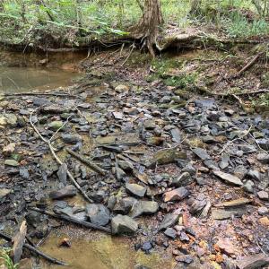 Photo #28 of Jennifer, Reidsville, NC 31.8 acres