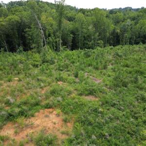 Photo #5 of Jennifer, Reidsville, NC 31.8 acres