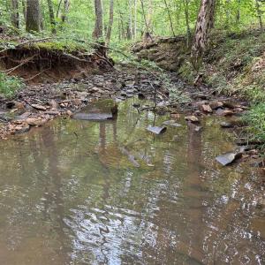 Photo #20 of Jennifer, Reidsville, NC 31.8 acres