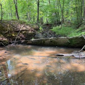 Photo #24 of Jennifer, Reidsville, NC 31.8 acres