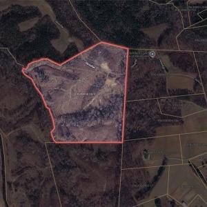 Photo #30 of Jennifer, Reidsville, NC 31.8 acres