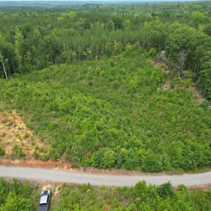Photo #10 of Jennifer, Reidsville, NC 31.8 acres