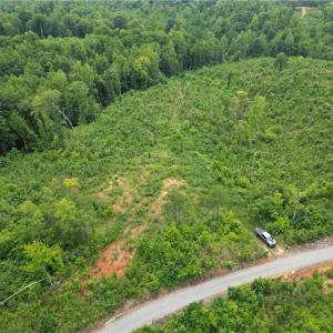 Photo #14 of Jennifer, Reidsville, NC 31.8 acres