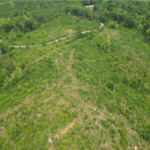 Photo #18 of Jennifer, Reidsville, NC 31.8 acres