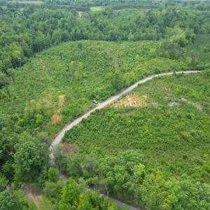 Photo #15 of Jennifer, Reidsville, NC 31.8 acres