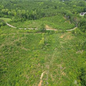 Photo #19 of Jennifer, Reidsville, NC 31.8 acres