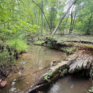 Photo #4 of Jennifer, Reidsville, NC 31.8 acres