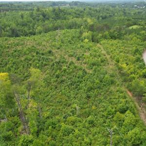 Photo #8 of Jennifer, Reidsville, NC 31.8 acres