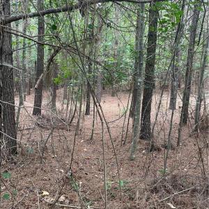 Photo #3 of Stokes School, Walnut Cove, NC 27.9 acres