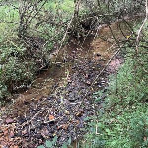 Photo #4 of Stokes School, Walnut Cove, NC 27.9 acres