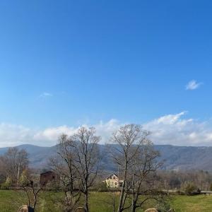 Photo #2 of Friends Mission Road, Ararat, VA 97.5 acres