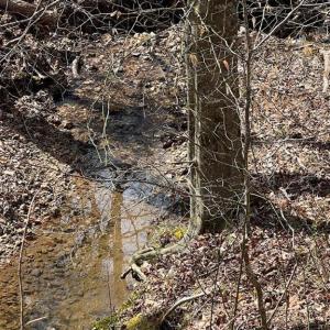 Photo #6 of Friends Mission Road, Ararat, VA 97.5 acres