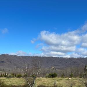 Photo #13 of Friends Mission Road, Ararat, VA 97.5 acres