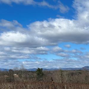 Photo #12 of Friends Mission Road, Ararat, VA 97.5 acres