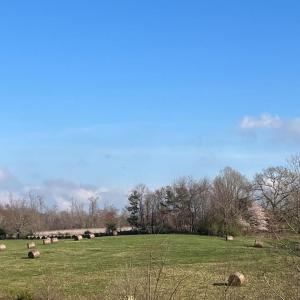 Photo #3 of Friends Mission Road, Ararat, VA 97.5 acres