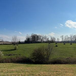 Photo #5 of Friends Mission Road, Ararat, VA 97.5 acres