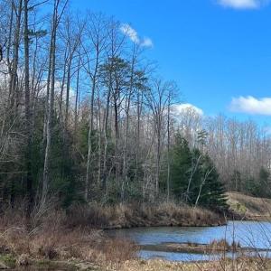 Photo #9 of Friends Mission Road, Ararat, VA 97.5 acres