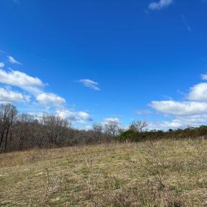 Photo #11 of Friends Mission Road, Ararat, VA 97.5 acres