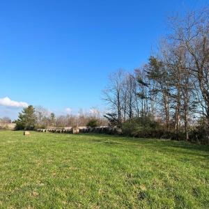 Photo #4 of Friends Mission Road, Ararat, VA 97.5 acres