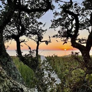 Photo #4 of 27199 Sunset Drive, Salvo, NC 0.4 acres