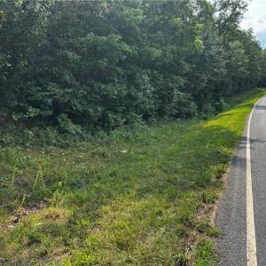 Facing East on Grogan Road